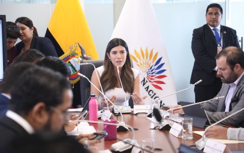 La presidenta de la Comisión de Desarrollo Económico, Valentina Centeno.