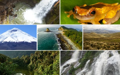 Parques Nacionales: símbolo de conservación de los ecosistemas del país