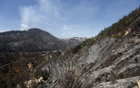 Septiembre. Solo cenizas quedaron en las laderas tras el incendio de Guápulo del fin del verano del año pasado. Se perdieron 204,89 hectáreas entre las llamas.