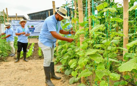 Con innovación, valor agregado y un enfoque agroecológico trabaja la Universidad de Guayaquil