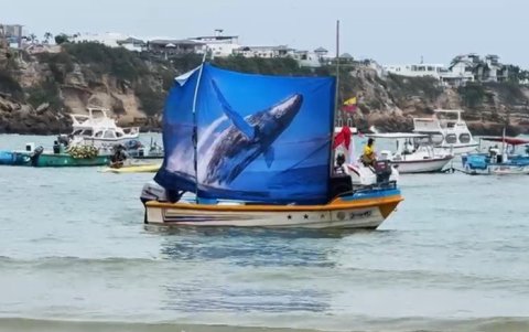 Con una embarcación se simuló el trayecto que hacen las ballenas jorobadas en Ayangue.