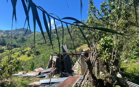 Cultivos y viviendas afectadas por los fuertes vientes registrados entre el domingo y lunes.