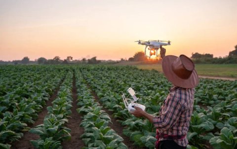 Uso de drones en campos agrícolas.