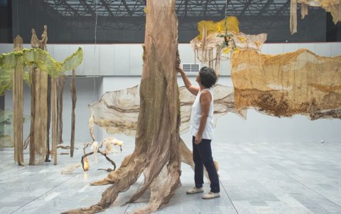 Donde la cordillera desemboca en el manglar: una instalación inmersiva que interpela al espectador sobre el deterioro ambiental y la memoria del territorio