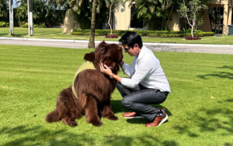 Chubby es un perro de raza Terranova, originaria de Canadá, que nació en Guayaquil