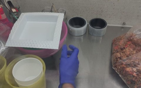 Del aula al laboratorio: biomaterial estudiantil que podría inspirar a más jóvenes
