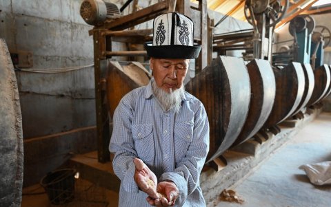 El agricultor Abdimamat Saparov aparece en la imagen en las instalaciones de procesamiento de su granja de arroz en la región de Batken, en el sur de Kirguistán, el 22 de mayo de 2025.