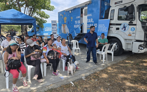 Ferias de adopción responsable por el Día del Perro