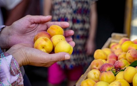 Una mujer vende albaricoques en un mercado de la ciudad de Isfara, en el norte de Tayikistán.