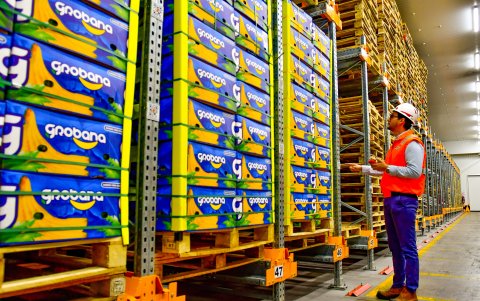 Una de las bodegas en Contecon donde está el banano antes de ser exportado.