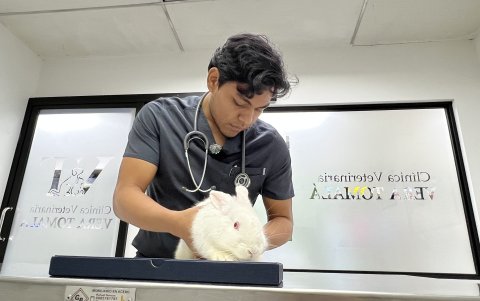 Isaac Vera tiene 23 años y es el responsable de la veterinaria de la urbanización Ceibos Norte; la mayoría de las mascotas de este sector son responsabilidad de él.