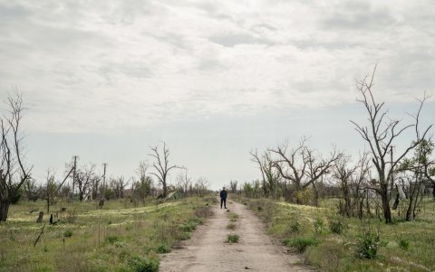Un trabajador de HALO Trust se encuentra en una carretera de la aldea de Bezymenne, región de Mykolaiv, el 5 de mayo de 2025.