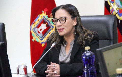La ministra de Gobierno, Zaida Rovira.
