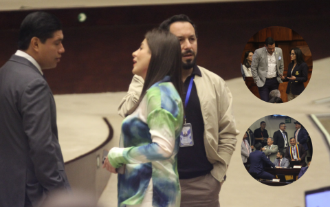 Asambleístas de distintas bancadas debatieron sus posturas frente a la propuesta, reflejando divisiones políticas