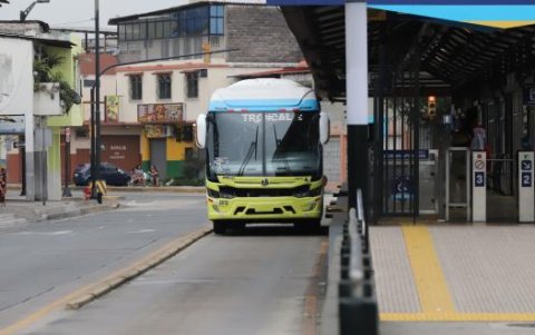 La frecuencia de salida de la estación, cada siete minutos, sí se cumple.