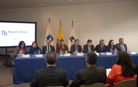 Jhoel Escudero Soliz preside actualmente el Pleno de la Corte Constitucional.