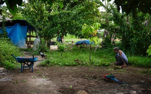 Una mujer indígena asurini limpia su tierra en la aldea Ita'aka, en la tierra indígena Koatinemo, estado de Pará, Brasil, el 11 de junio de 2025.