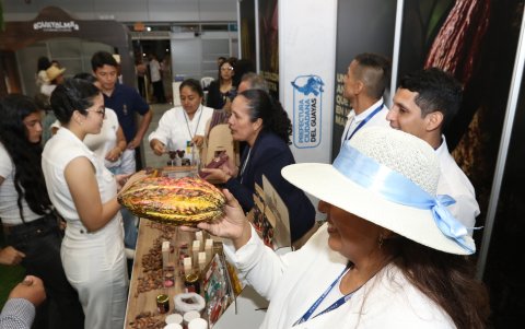 Ecuador exportó 139.000 toneladas de cacao en el primer trimestre de 2025 y proyecta un crecimiento sostenido gracias al fortalecimiento de productores