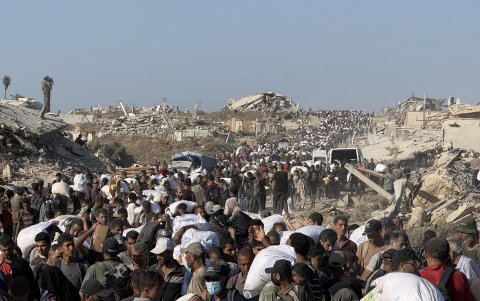 Miles de personas vuelven cubiertos de sangre, otros muertos y, los afortunados, cargados de sacos del preciado 