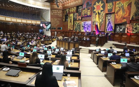 Actualmente, para la Asamblea se escogen 15 asambleístas nacionales.
