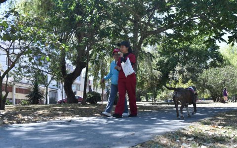 Bonanza. Ese parque, en el norte de Quito, es abierto y también es más concurrido. Está a pocas cuadras de otros dos que son cercados y a los que menos gente visita.