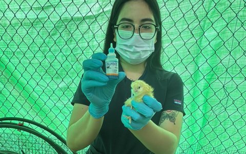 Estudiantes veterinarios lideran iniciativas productivas para la seguridad alimentaria