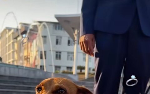 Patria, la mascota de Marcela Aguiñaga, llevó los anillos de la pareja.