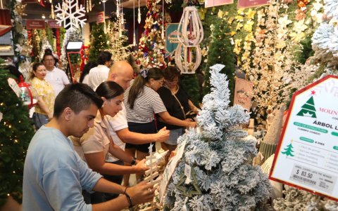 Alessa empezó la venta de colecciones navideñas.