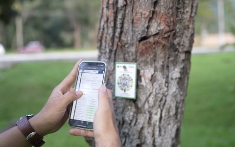 La plataforma utiliza códigos QR para que cualquier persona pueda acceder a información sobre cada árbol desde su celular.