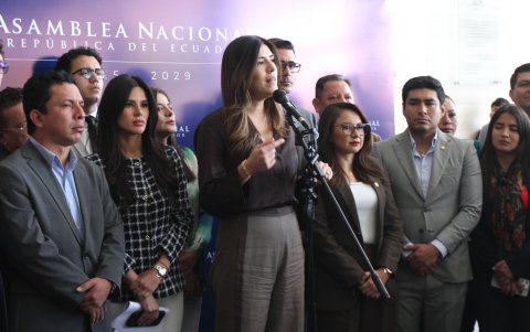 La bancada de ADN impulsó las leyes económicas urgentes en la Asamblea pese a las alertas sobre inconstitucionalidades.