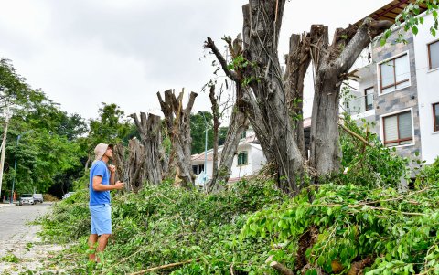 Vecinos y autoridades se acercaron al sitio de la 'poda'.