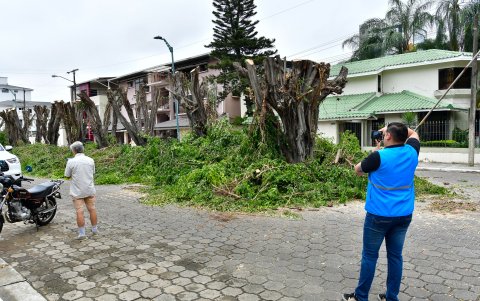 Municipio continuará la investigación