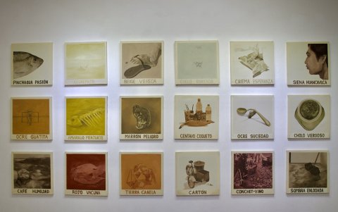 La muestra tendrá visitas guiadas hasta el 23 de agosto.