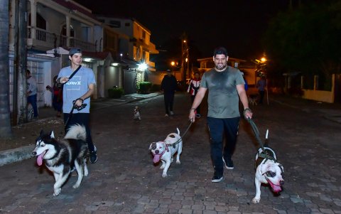 Perros grandes o pequeños. Todos suman.
