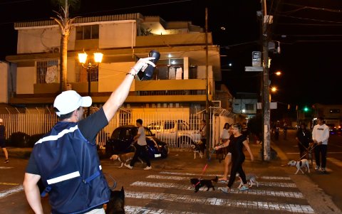 Palacios guía a la patrulla perruna.