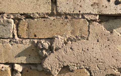 La biocementación con Sporosarcina pasteurii podría cambiar la forma de edificar, disminuyendo la contaminación y alargando la vida útil de las estructuras.