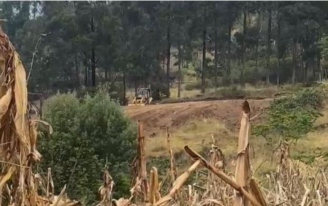 Hecho. Los vecinos captaron a la maquinaria en medio de la vegetación.