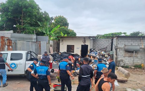 Guayaquil: Municipio rescata familia de zarigüeyas en operativo de limpieza