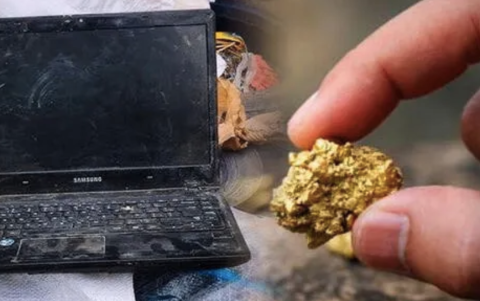 Componentes electrónicos como chips y placas madre contienen trazas de oro que pueden recuperarse con métodos sostenibles y no tóxicos.