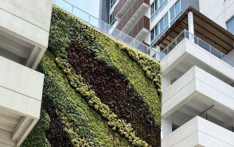 El jardín vertical en la fachada de las torres 100 Olivos Parc, en Los Ceibos.