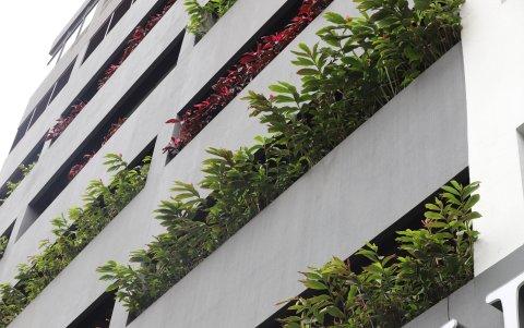 La fachada del hotel Double Tree, ubicado en el centro de Guayaquil, luce con diversidad de plantas, al igual que en su terraza.