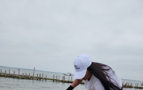 Limpieza del manglar