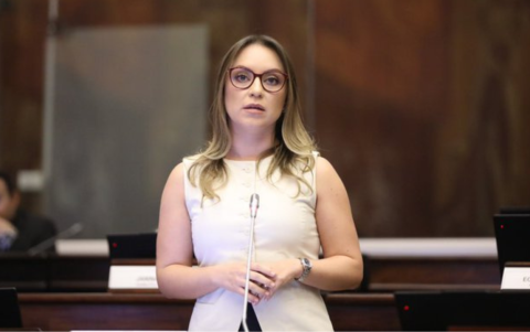 Mishel Mancheno, asambleísta de ADN, denunció a Nuria Butiñá.