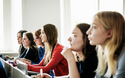 En su etapa inicial, miles de participantes completaron el nivel A1 de manera gratuita.
