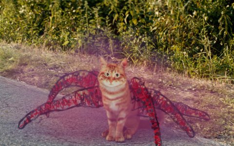 La imaginación puede crear mundos, pero el amor y la unión familiar los mantienen bajo control.