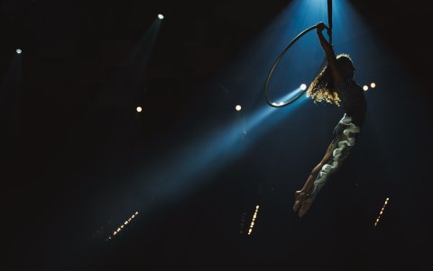 La obra recoge la cosmovisión y sabiduría ancestral de la Amazonía y de los principales chamanes de los nueve países de la Cuenca Amazónica.