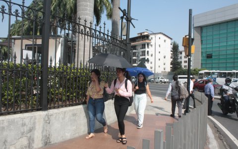 INAMHI alerta riesgo de incendios forestales por calor extremo en varias provincias.