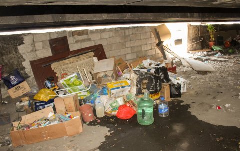 Hasta una planta tenían en el agujero.