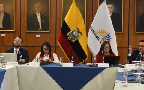 Nataly Morillo fue vicepresidenta de la Comisión de Fiscalización de la Asamblea.