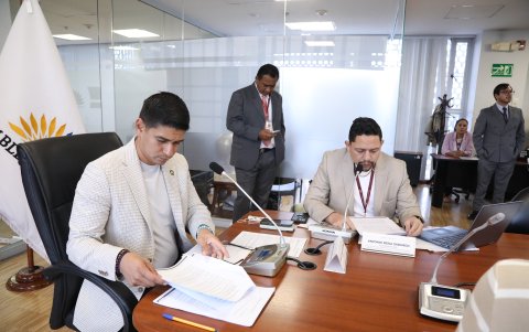 La mesa de Garantías Constitucionales es presidida por Jaime Estrada, del correísmo.